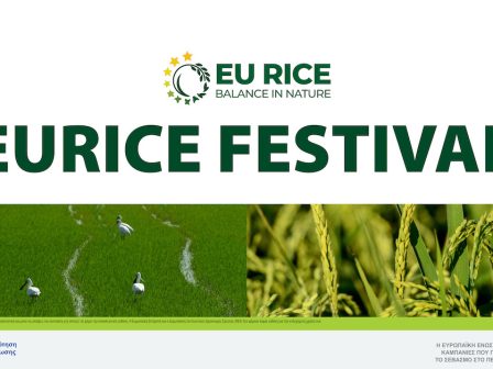 eu-rice-festival-332379