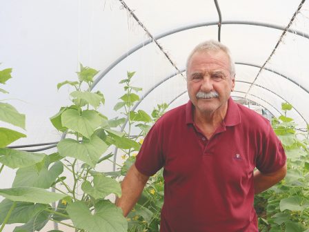agroktima-zargani-me-tous-energous-mikroorganismous-paragei-trofima-kai-prostatevei-to-perivallon-331060