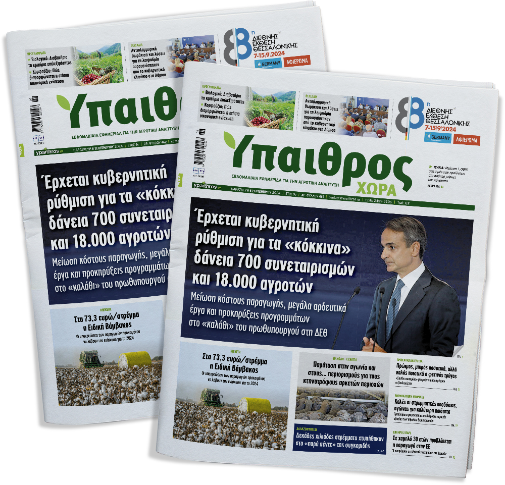 fyllo-462-paraskevi-6-septemvriou-2024-331256