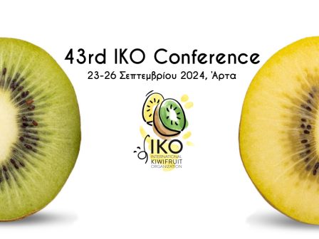 i-arta-topos-ypodochis-tou-43rd-iko-conference-2024-332160
