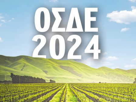 osde-2024-mikri-paratasi-sti-diadikasia-ypovolis-ton-diloseon-skeftetai-o-opekepe-333302