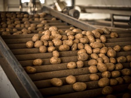 i-leipsydria-kai-ta-provlimata-tou-protogenous-tomea-sto-epikentro-tis-15is-giortis-patatas-naxou-331595