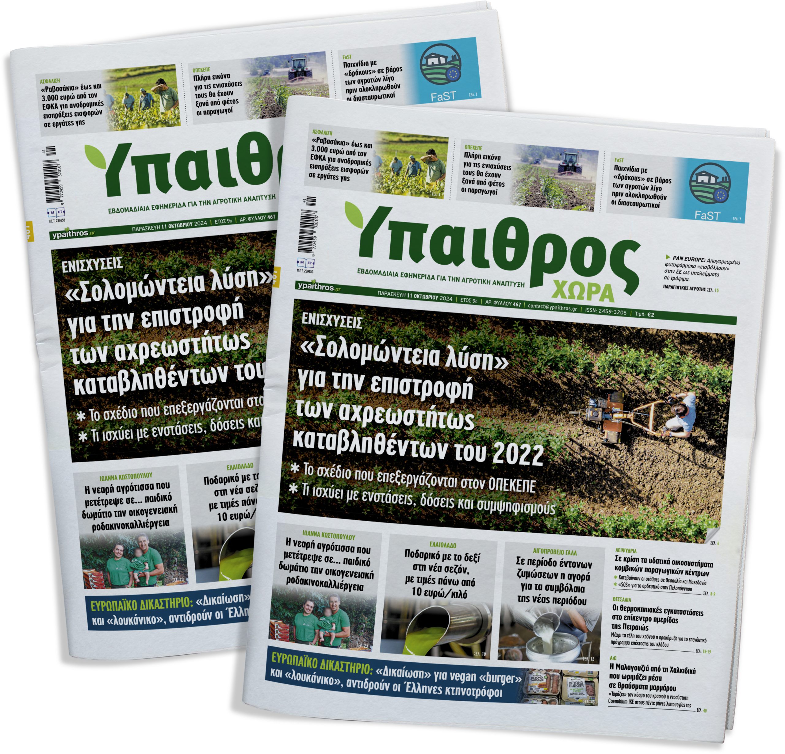 fyllo-467-paraskevi-11-oktovriou-2024-334678