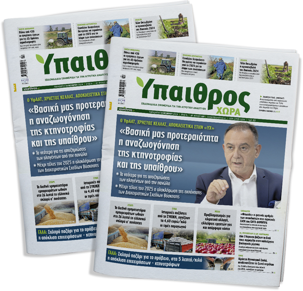 fyllo-468-paraskevi-18-oktovriou-2024-335389