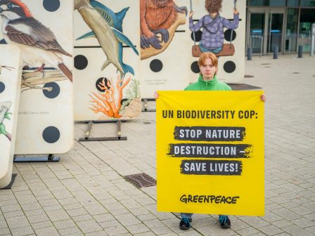greenpeace-i-diaskepsi-gia-ti-viopoikilotita-tou-oie-cop16-einai-mia-efkairia-gia-anagennisi-tis-fysis-336045
