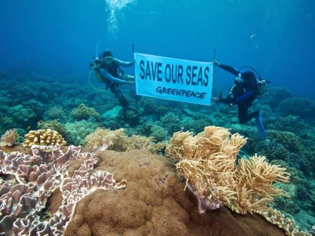 greenpeace-aprostateftoi-oi-pyrines-thalassias-viopoikilotitas-tis-elladas-335118