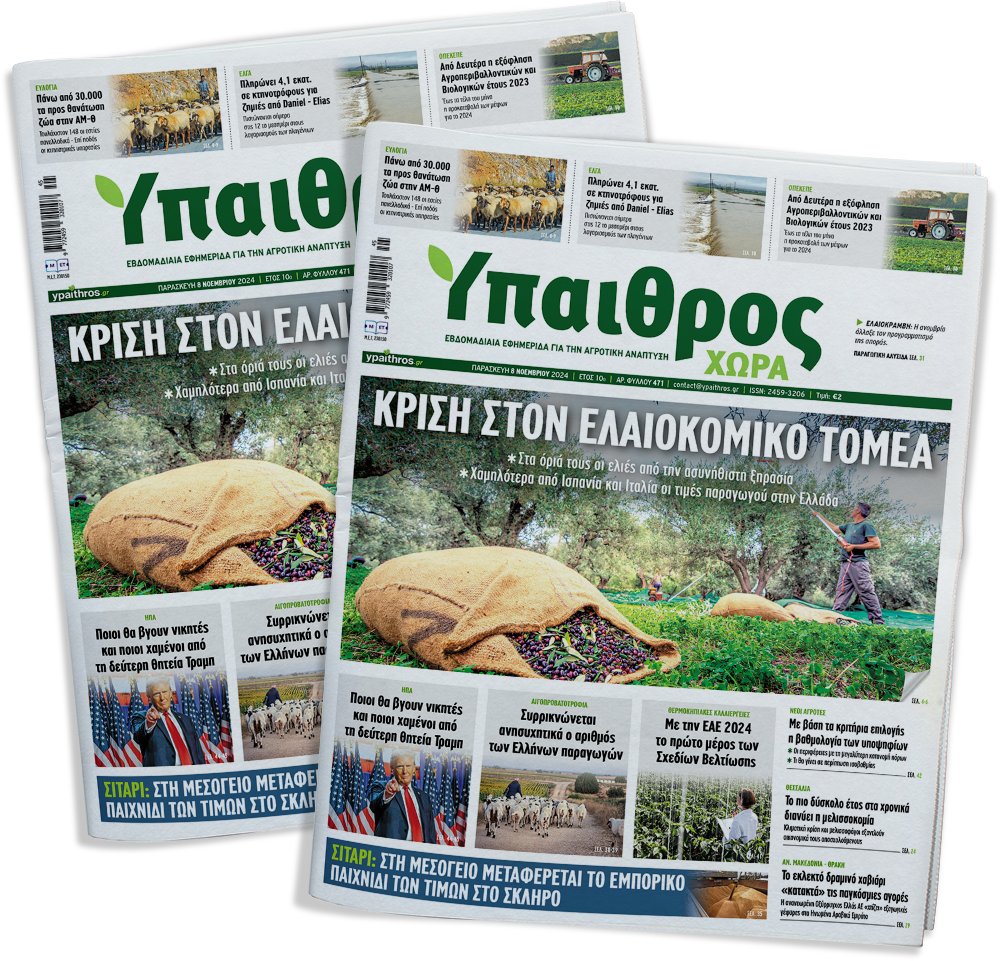 fyllo-471-paraskevi-8-noemvriou-2024-337661