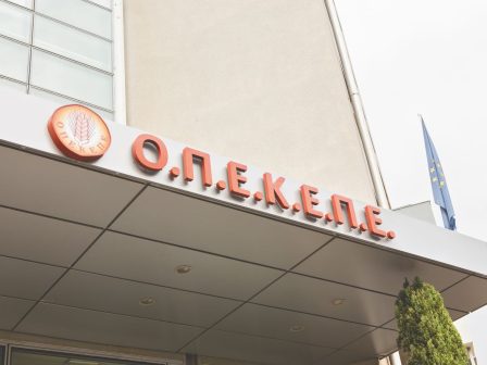 k-tsiaras-gia-dioikisi-opekepe-oi-allages-ginontai-me-prothesi-tin-kalyteri-leitourgia-tou-organismou-340271