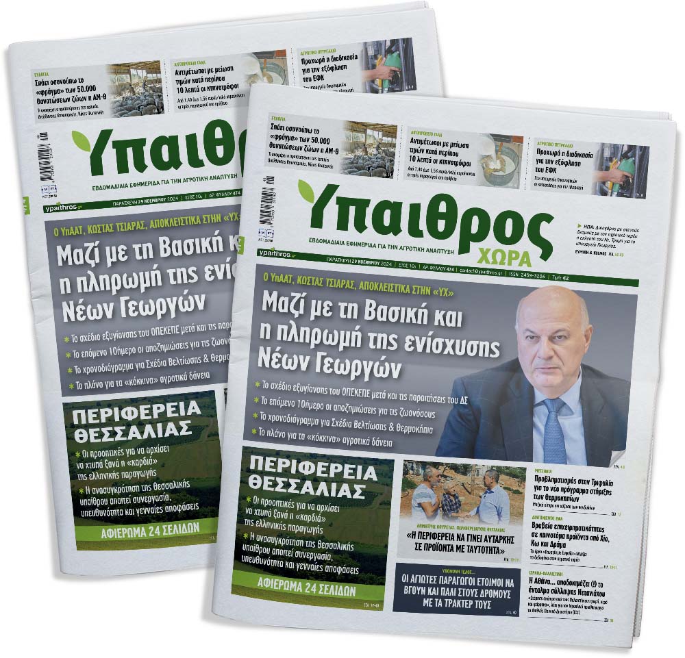 fyllo-474-paraskevi-29-noemvriou-2024-340232