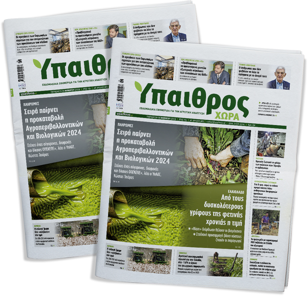 fyllo-472-paraskevi-15-noemvriou-2024-338565