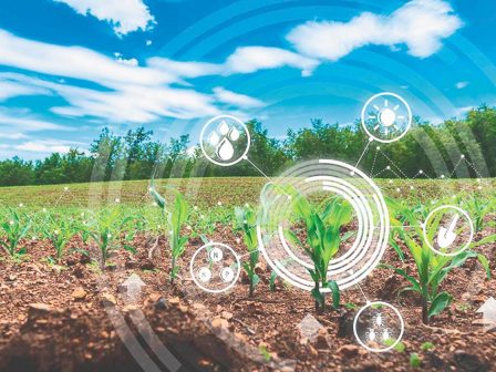 eu-cap-network-seminario-gia-agrotes-stin-techniti-noimosyni-337907
