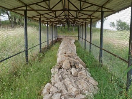 dimiourgia-geoparkou-sto-apolithomeno-dasos-fylaktou-sto-soufli-339944