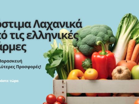 veroia-to-diadiktyako-ilektroniko-katastima-laiki-agora-elladas-xekina-todelivery-339197