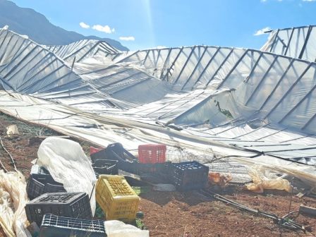 ierapetra-se-apognosi-oi-agrotes-thyellodeis-voreioi-anemoi-espasan-thermokipia-katestrepsan-elies-339874
