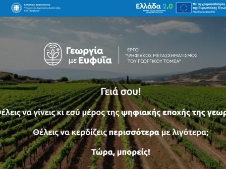 georgia-me-effyia-dorean-symmetochi-paragogon-sto-ergo-gia-ton-psifiako-metaschimatismo-336737