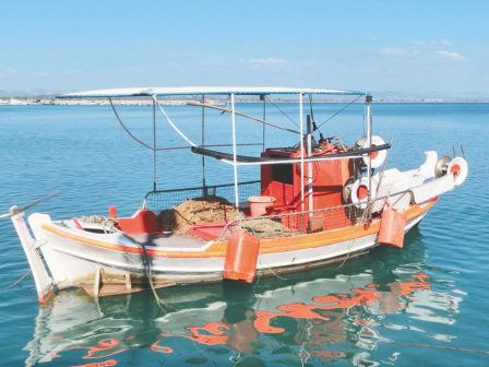 apo-simera-i-ypovoli-aitiseon-gia-tin-apozimiosi-alieftikon-skafon-me-zimies-apo-thalassia-eidi-339530