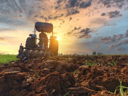 eurostat-arnitiki-protia-tis-elladas-ptosi-16-simeiose-i-agrotiki-paragogi-338402