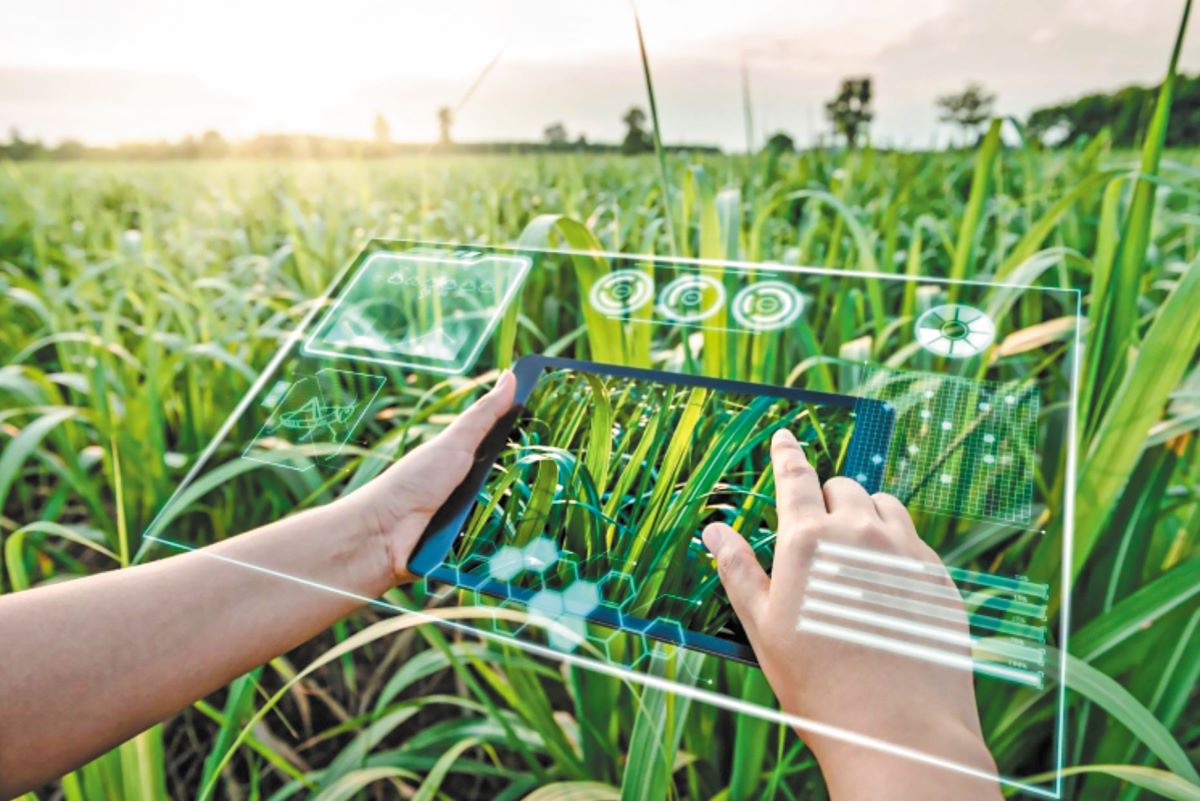 C-Farming: Ευρωπαϊκό έργο μυεί ερευνητές και αγρότες σε νέες ψηφιακές δεξιότητες πάνω στη γεωργία άνθρακα