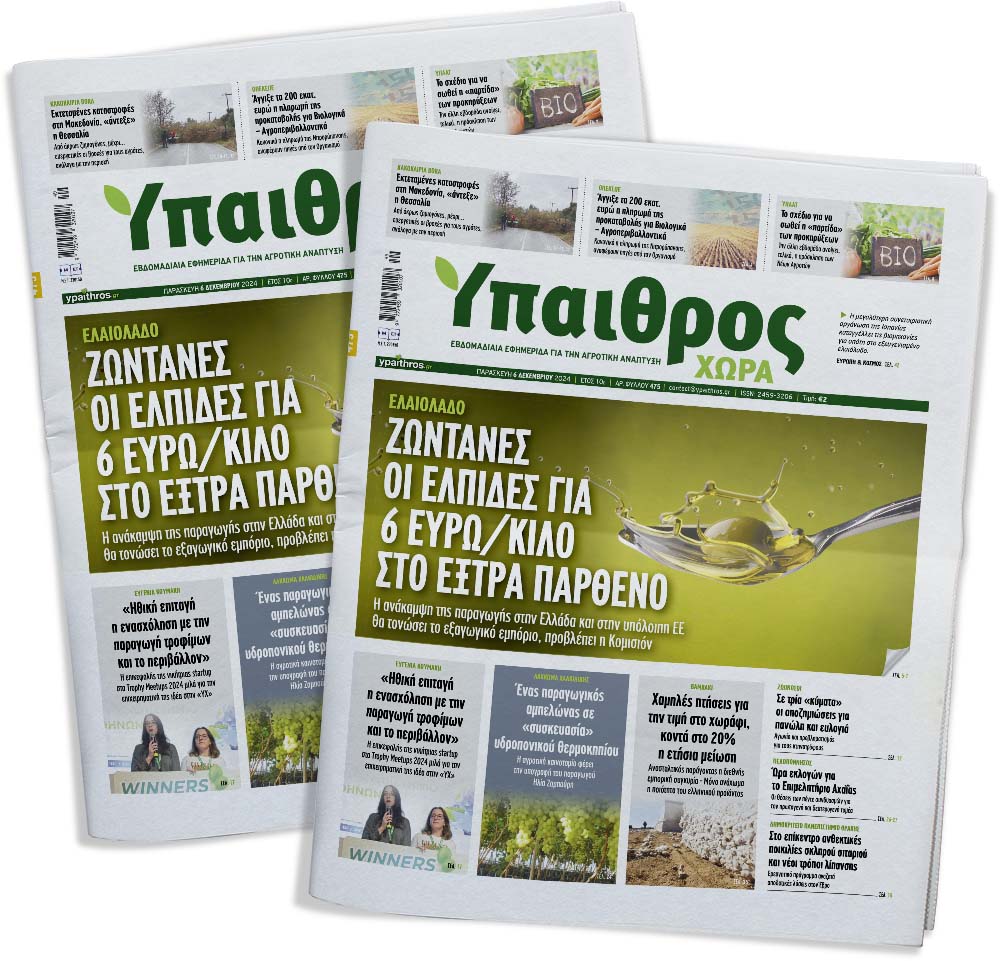 fyllo-475-paraskevi-6-dekemvriou-2024-340973