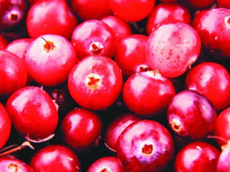 ipa-to-usda-chrisimopoiei-techniti-noimosyni-gia-na-veltiosei-ti-sygkomidi-ton-kranberi-342763