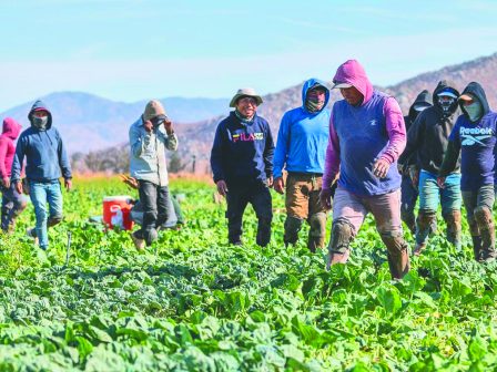 ipa-afxanetai-i-anisychia-ton-agrotikon-omadon-gia-to-schedio-trab-peri-mazikon-apelaseon-341081