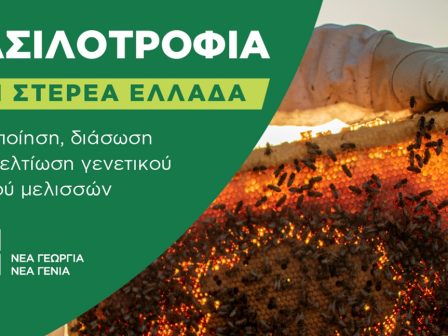 nea-georgia-nea-genia-enarxi-tou-programmatos-katartisis-kai-symvouleftikis-vasilotrofia-sti-st-ellada-341327