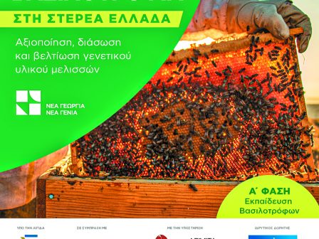nea-georgia-nea-genia-dorean-programma-katartisis-gia-ti-vasilotrofia-sti-sterea-ellada-341751