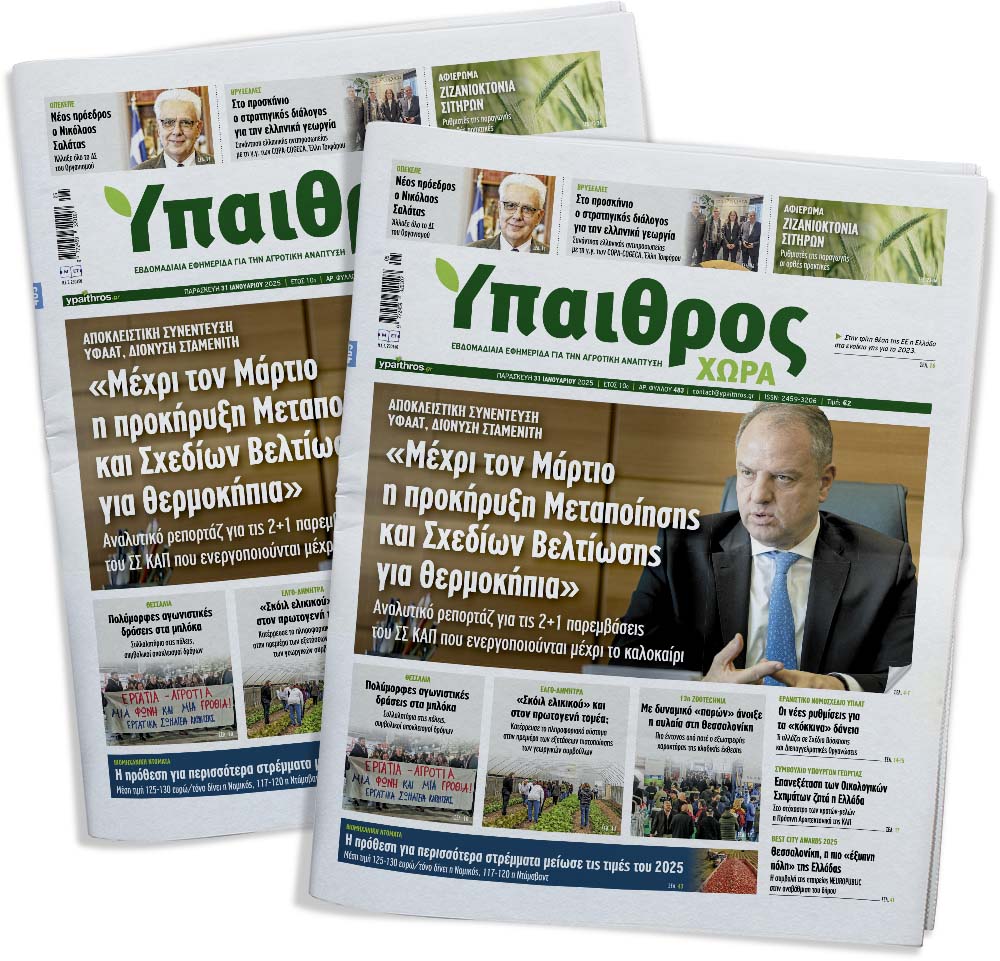 fyllo-483-paraskevi-31-ianouariou-2025-345156