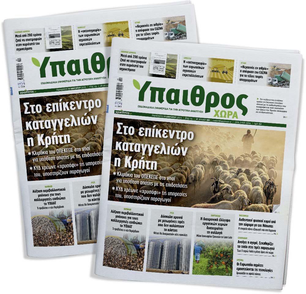 fyllo-480-paraskevi-10-ianouariou-2025-343487