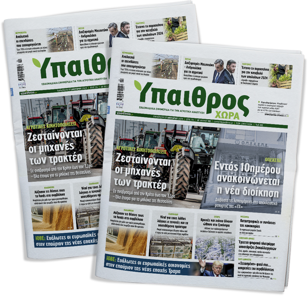 fyllo-481-paraskevi-17-ianouariou-2025-344049