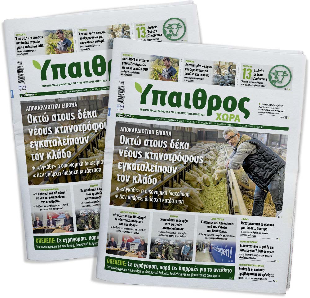 fyllo-482-paraskevi-24-ianouariou-2025-344614