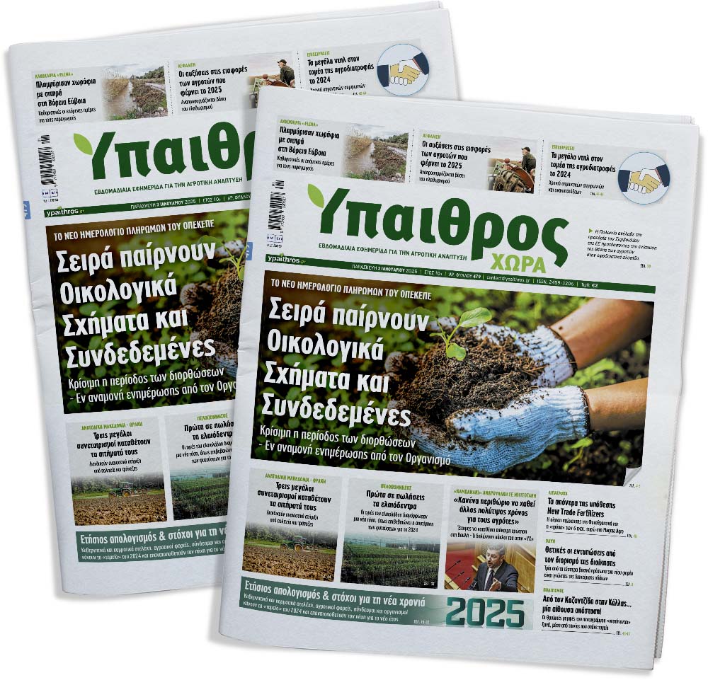 fyllo-479-paraskevi-3-ianouariou-2025-342999