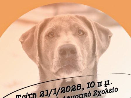 drasi-evaisthitopoiisis-gia-ta-adespota-apo-ton-dimo-archaias-olybias-344757