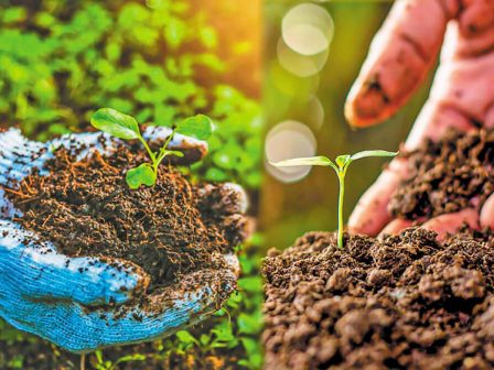 ebiofarm-advice-erchetai-psifiaki-platforma-ypostirixis-ton-viokalliergiton-stin-ellada-344160