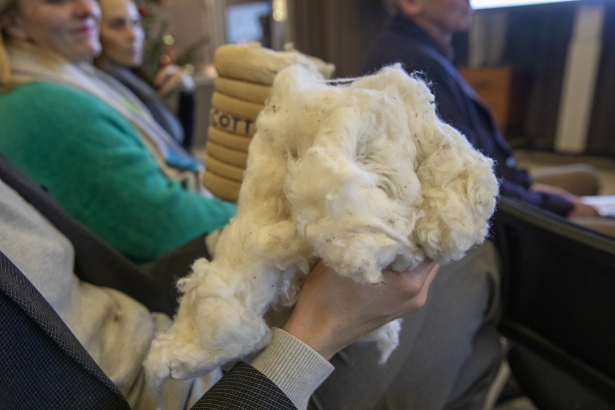 Η επιτυχία της εκστρατείας EUCOTTON επαναφέρει τον ευρωπαϊκό βαμβάκι στο προσκήνιο Η επιτυχία της εκστρατείας EUCOTTON επαναφέρει τον ευρωπαϊκό βαμβάκι στο προσκήνιο