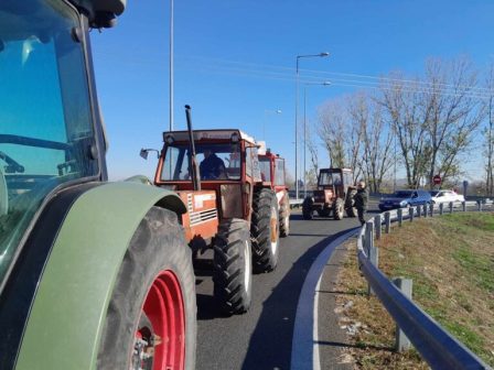 agrotes-ekleisan-tin-ethniki-odo-sto-kastro-voiotias-345293