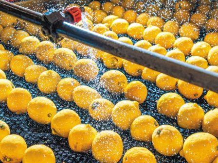 lemoni-sta-azitita-to-proion-se-chamila-epipeda-oi-times-344992