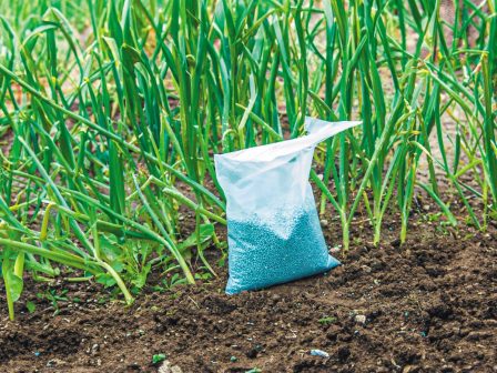 ta-aponera-tis-ypothesis-new-trade-fertilizers-343318