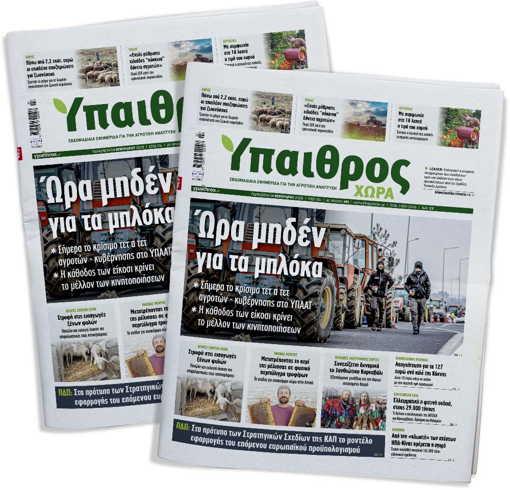 fyllo-485-paraskevi-14-fevrouariou-2025-346277