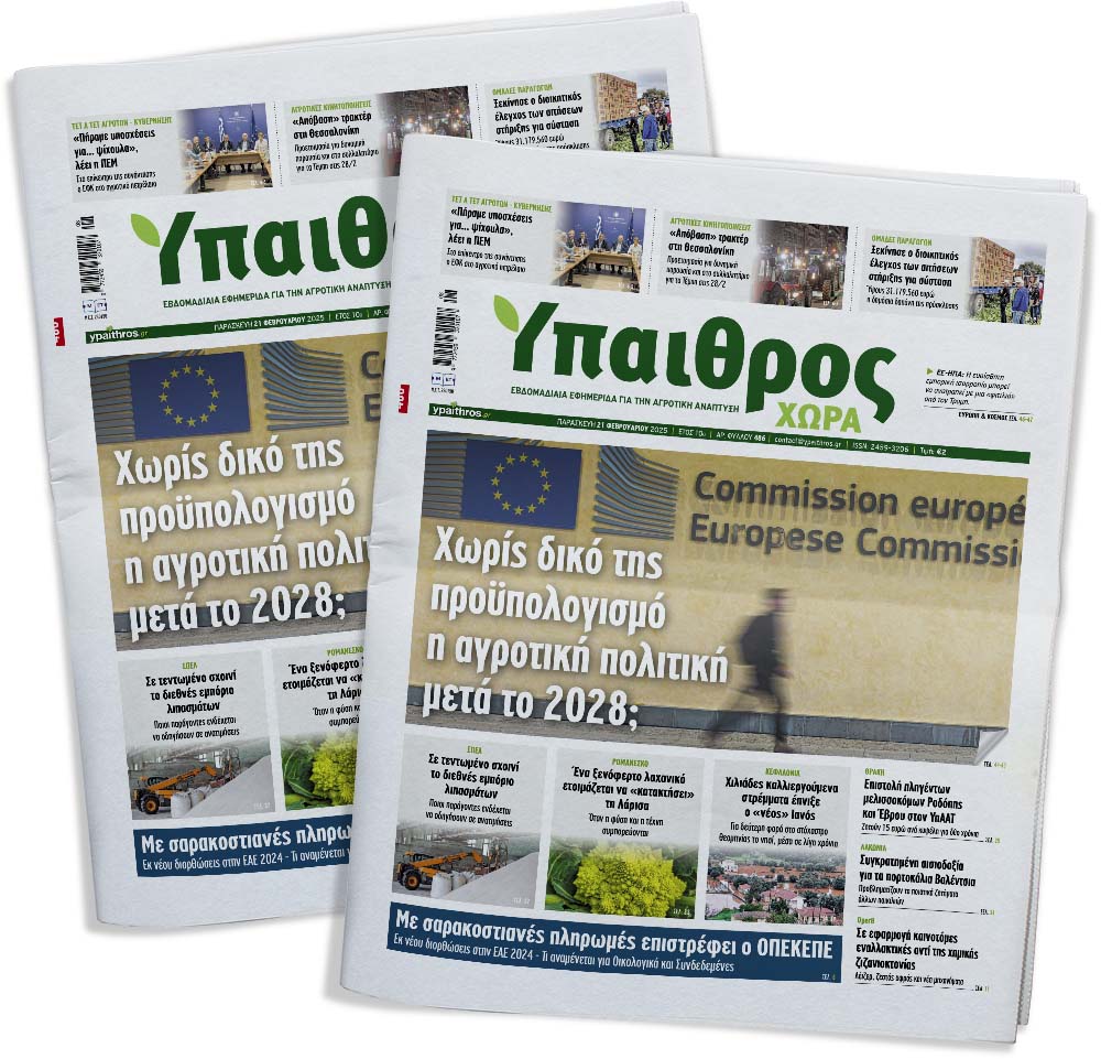 fyllo-486-paraskevi-21-fevrouariou-2025-346839