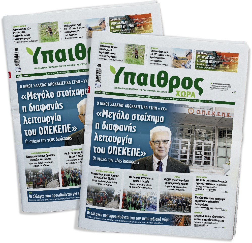 fyllo-484-paraskevi-7-fevrouariou-2025-345719