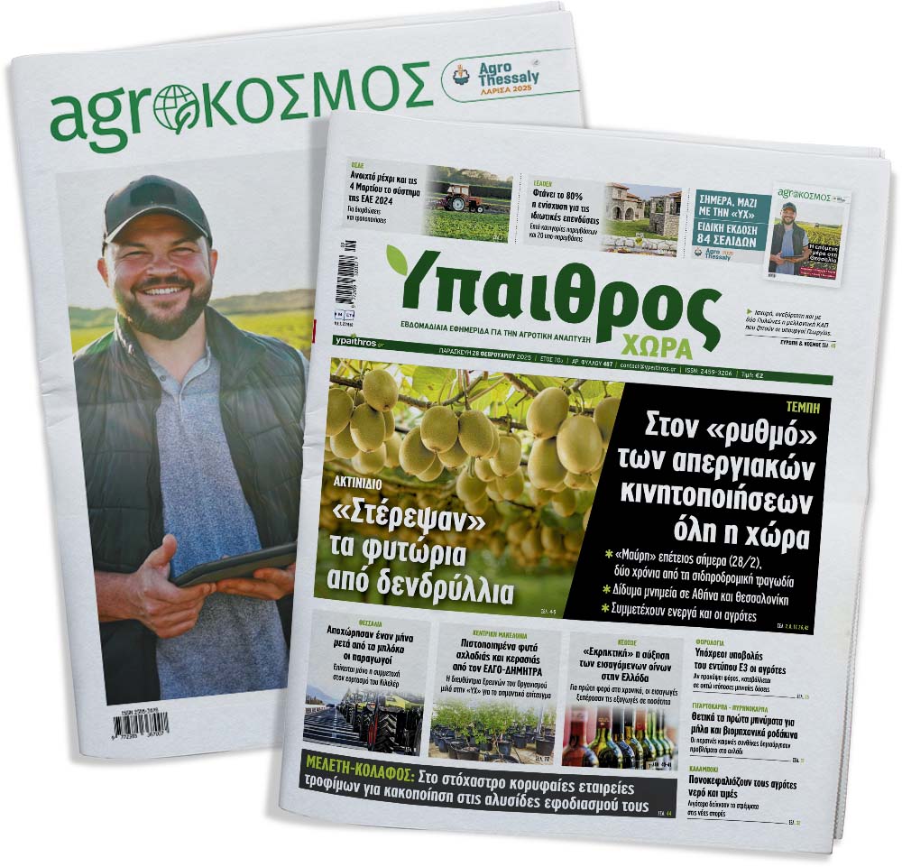 fyllo-487-paraskevi-28-fevrouariou-2025-347320