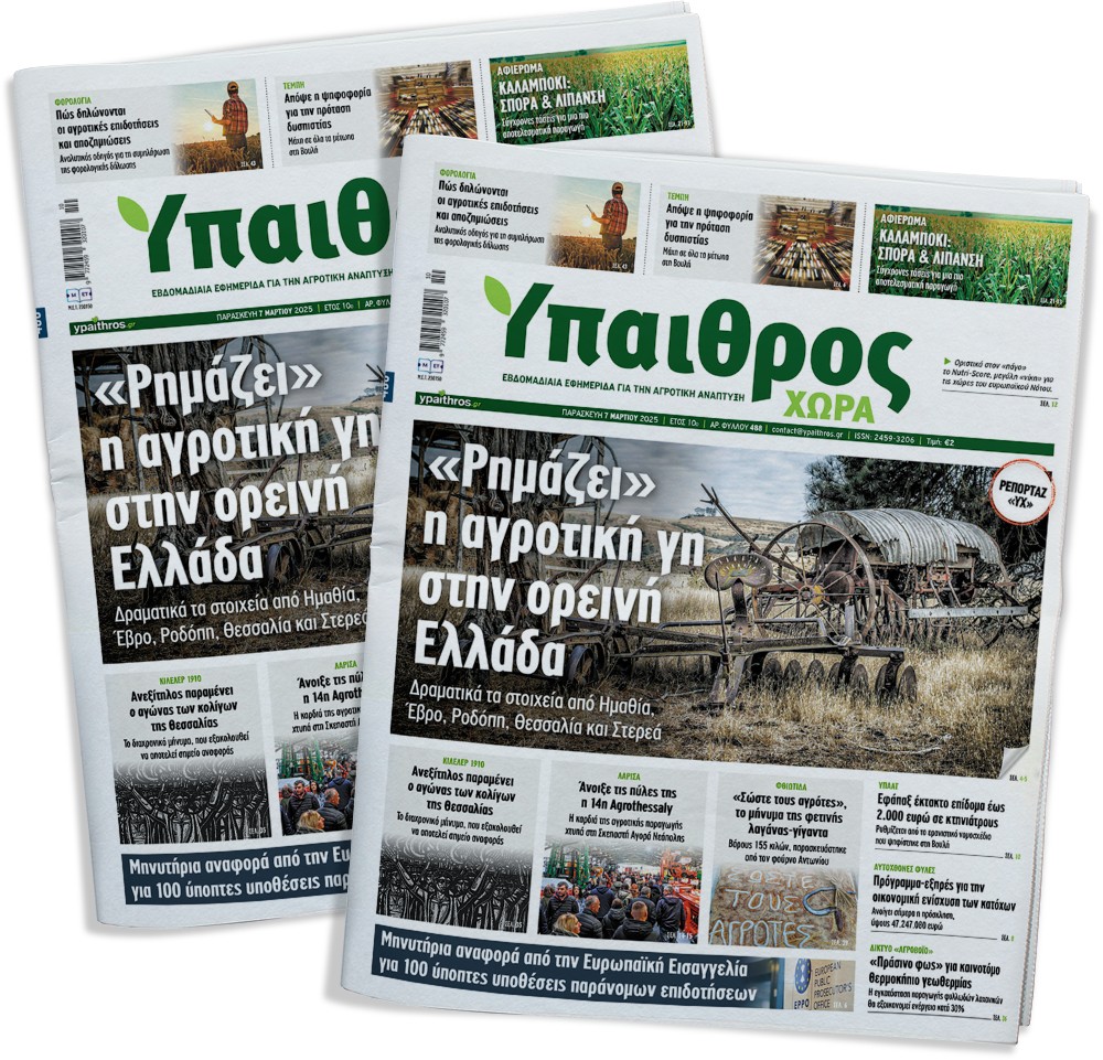 fyllo-488-paraskevi-7-martiou-2025-347814