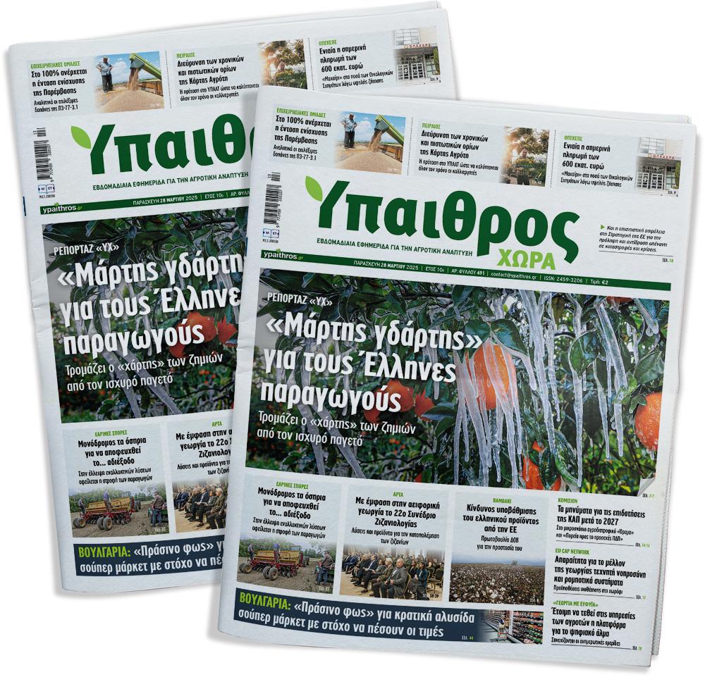 fyllo-491-paraskevi-28-martiou-2025-349520