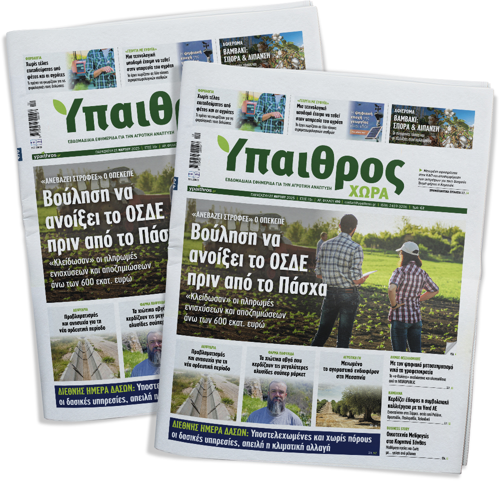 fyllo-490-paraskevi-21-martiou-2025-349047