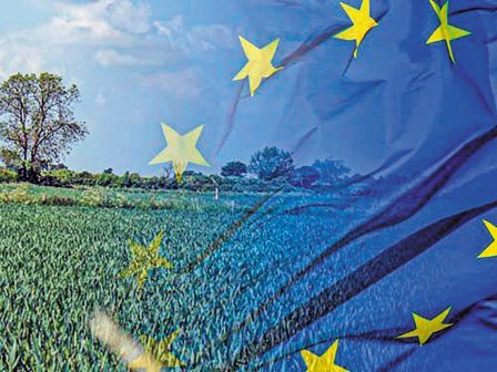 oi-aploustevmenoi-perivallontikoi-kanones-stin-kap-den-tha-voithisoun-tous-agrotes-ypostirizoun-60-mko-349576
