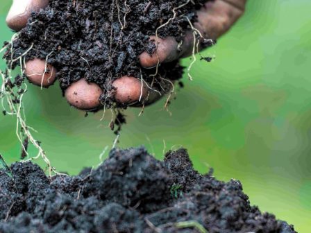prepsoil-zontanos-chartis-gia-tin-ygeia-ton-edafon-stin-evropi-349635