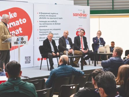 kanontas-ti-viomichaniki-ntomata-xana-dynati-348535