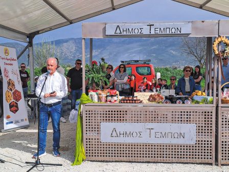 oi-dromoi-ton-anthismenon-amygdalion-sto-sykourio-anedeixan-ti-fysiki-omorfia-kai-ti-stirixi-tis-topikis-kalliergeias-349091