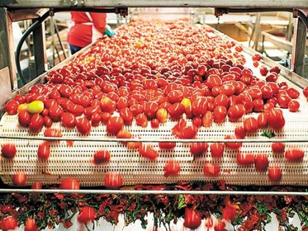 syndedemeni-viomichanikis-tomatas-egkrithikan-oi-metapoiitikes-epicheiriseis-gia-tin-metapoiitiki-periodo-2025-349399